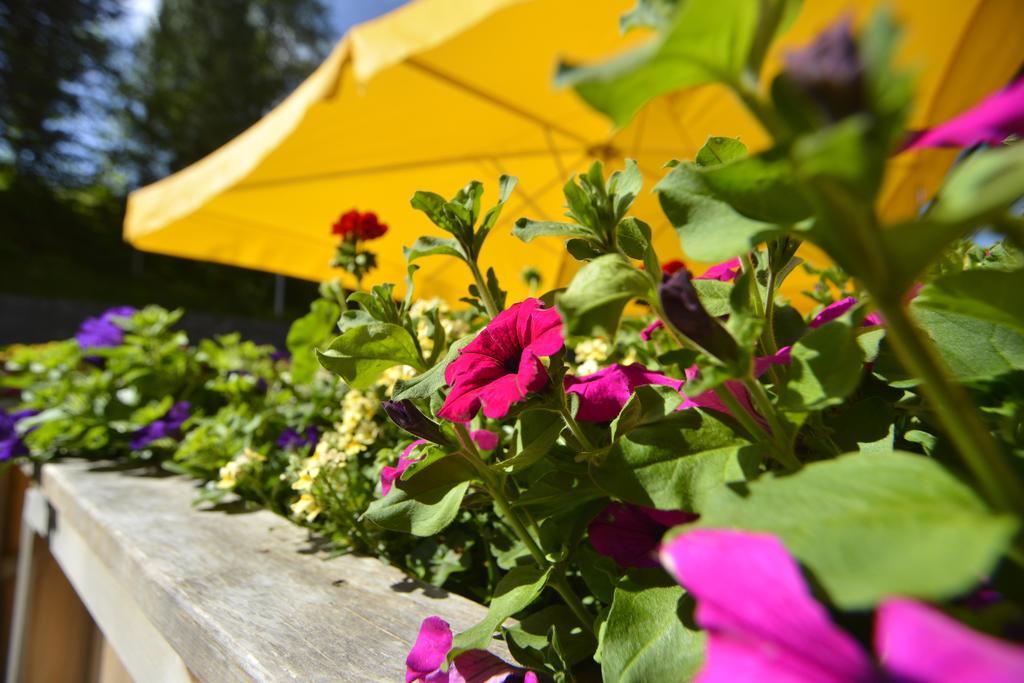 Hotel Diana Seefeld in Tirol Exterior photo